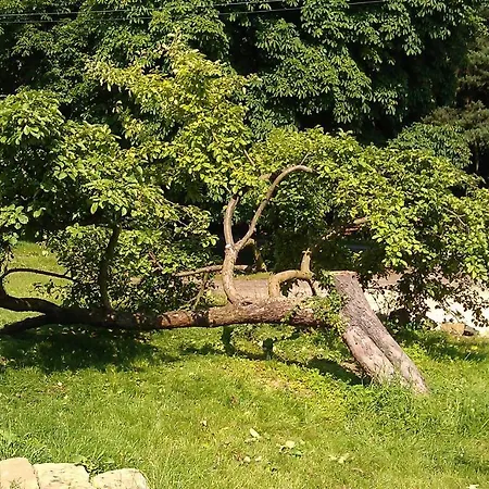 Πανσιόν Slunecno Dobšín