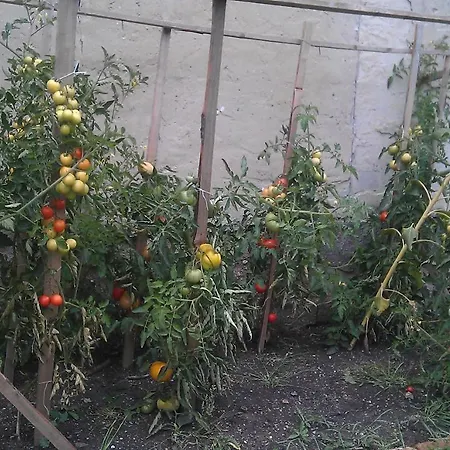 Slunecno Πανσιόν Dobšín