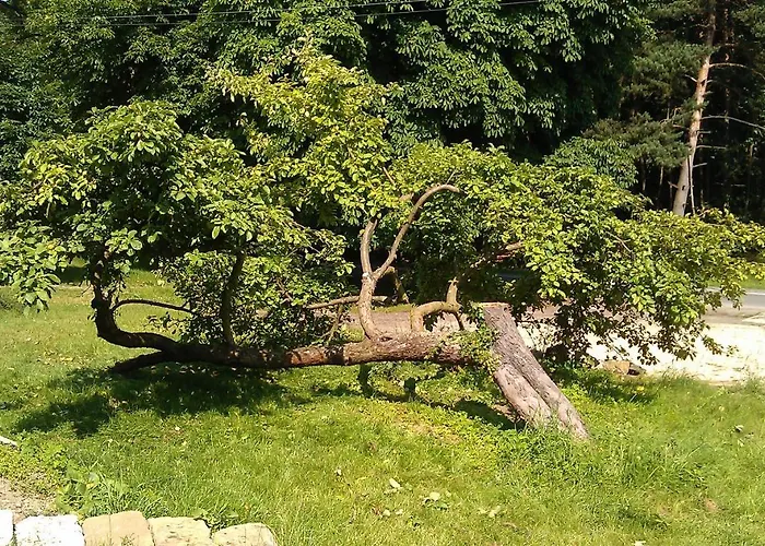 Casa de hóspedes Slunecno Dobšín