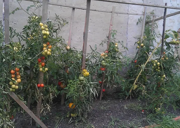 Slunecno Casa de hóspedes Dobšín